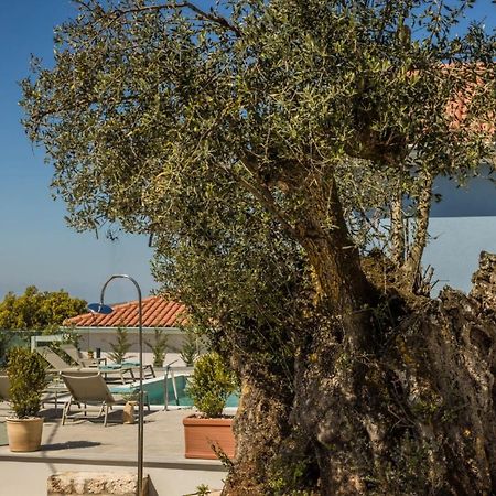 Summertime Villas Argostoli  Bagian luar foto